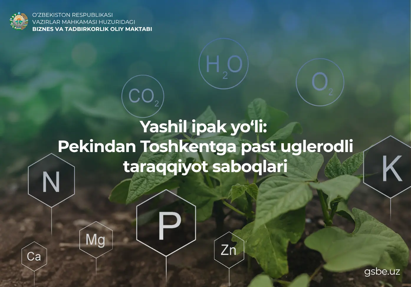 Yashil ipak yo‘li: Pekindan Toshkentga past uglerodli taraqqiyot saboqlari